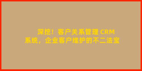 深挖！客户关系管理 CRM 系统，企业客户维护的不二法宝